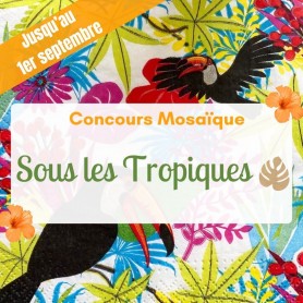 Kit Concours Mosaïque « Sous les Tropiques »