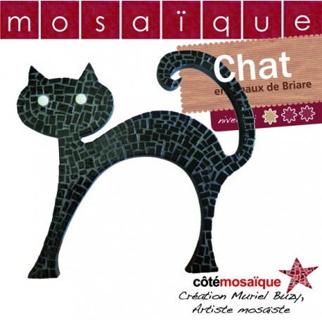 Tuto Mosaique Chat Noir En Emaux De Briare Facile A Realiser