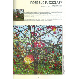 Livre Mosaïque motifs figuratifs Best of de Muriel Ligerot aux éditions Couleurs Mosaïques exemple de réalisation